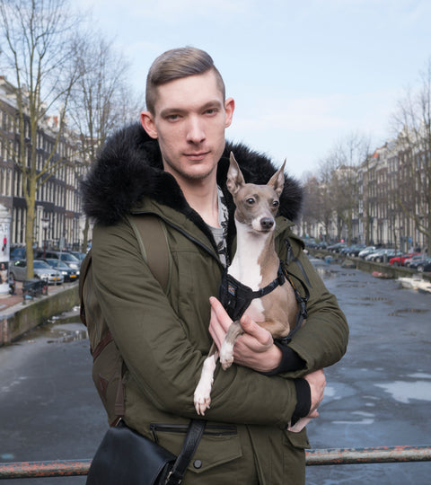 From Korea with Love