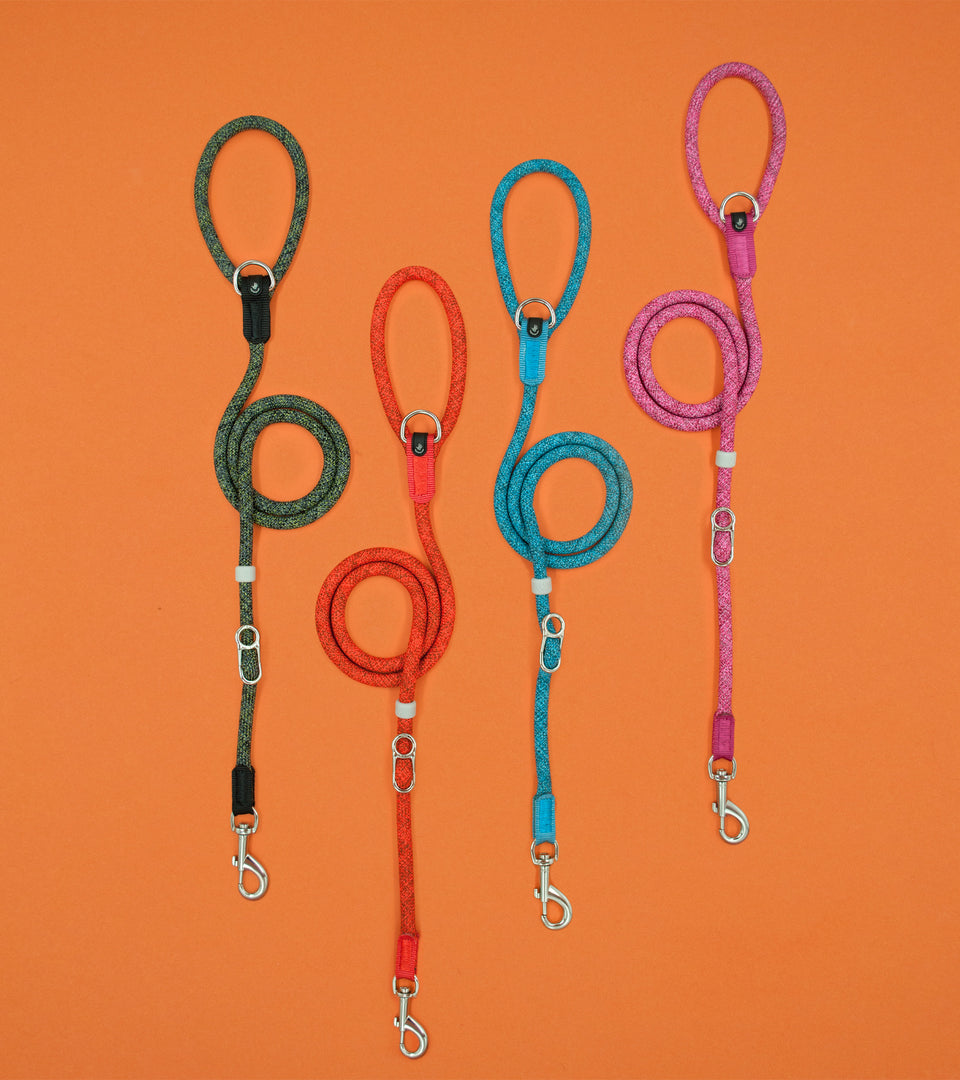 Leisure Collar & Slip Leash