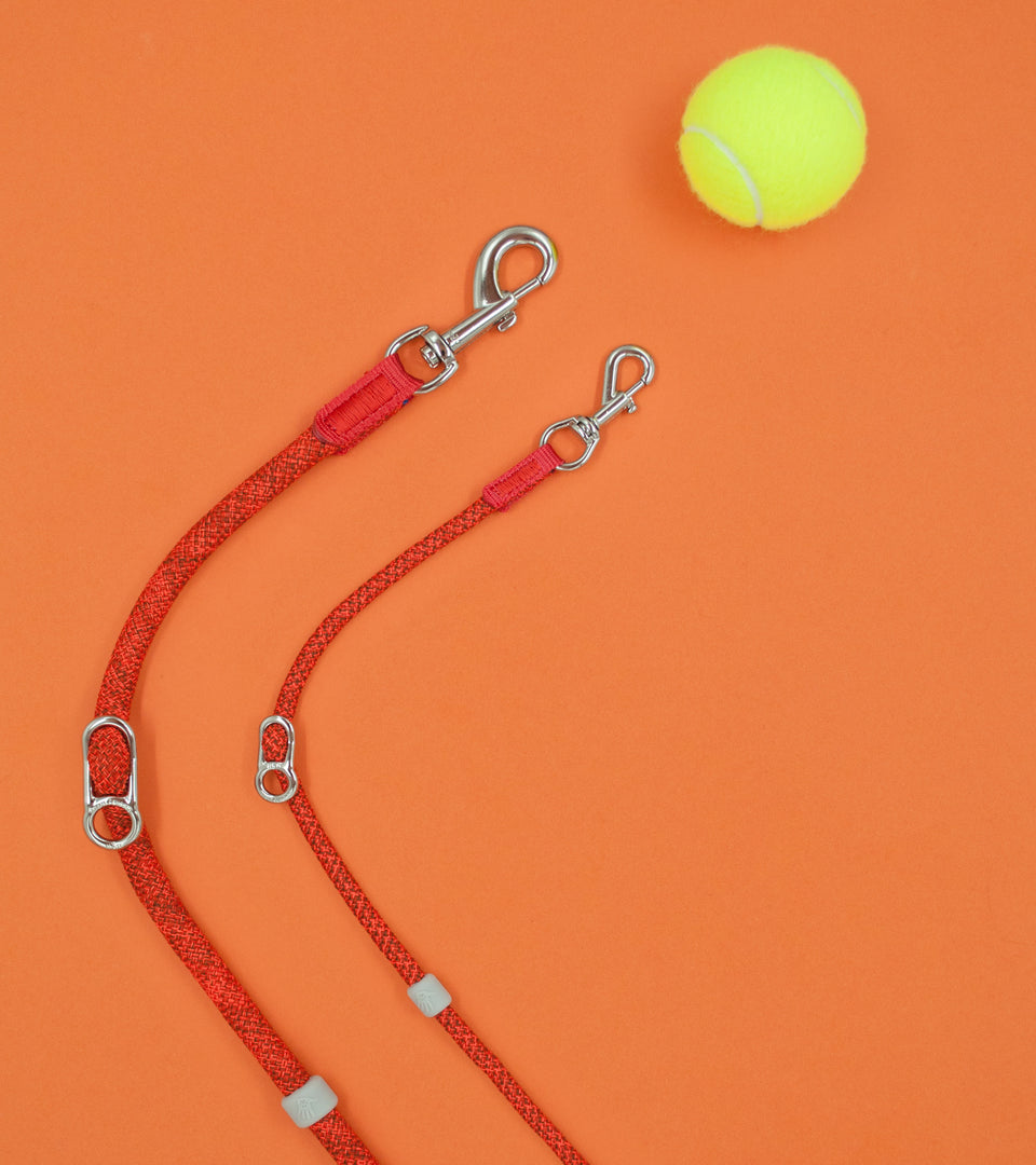 Leisure Collar & Slip Leash