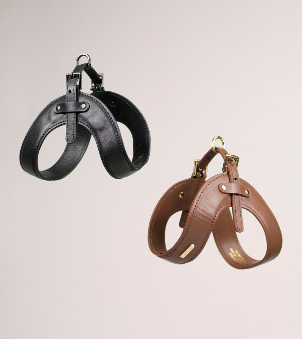 Metro Petite Dog Leather Harness