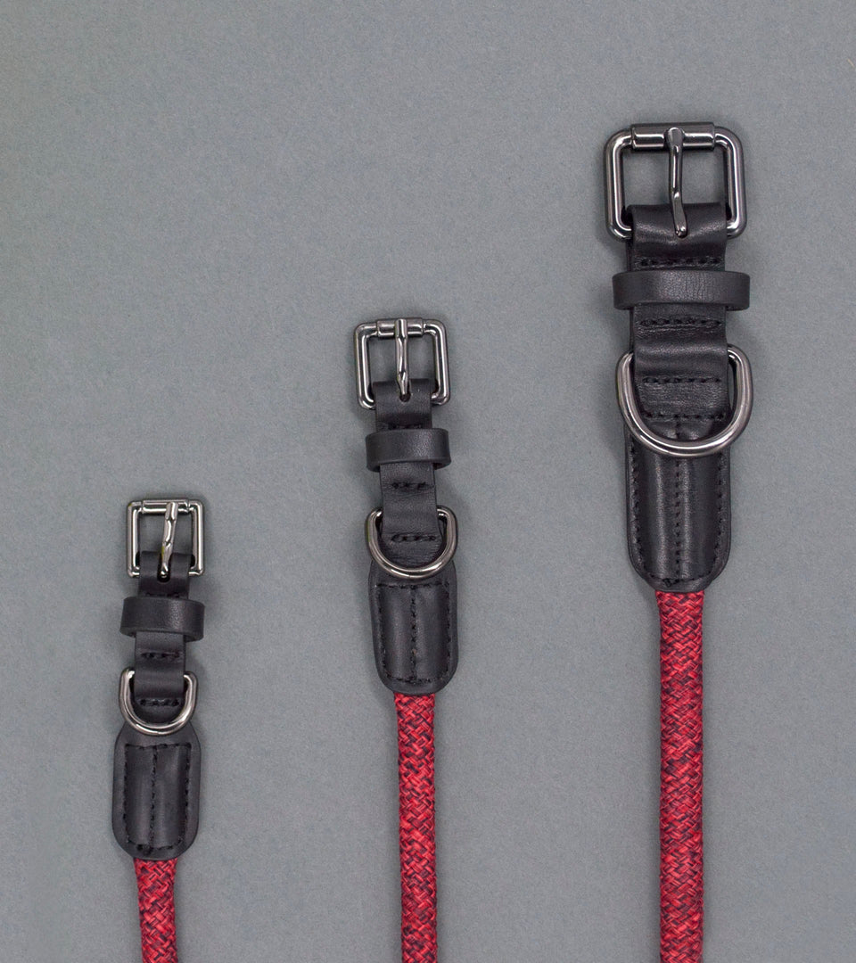 Metro Rope Dog Collar