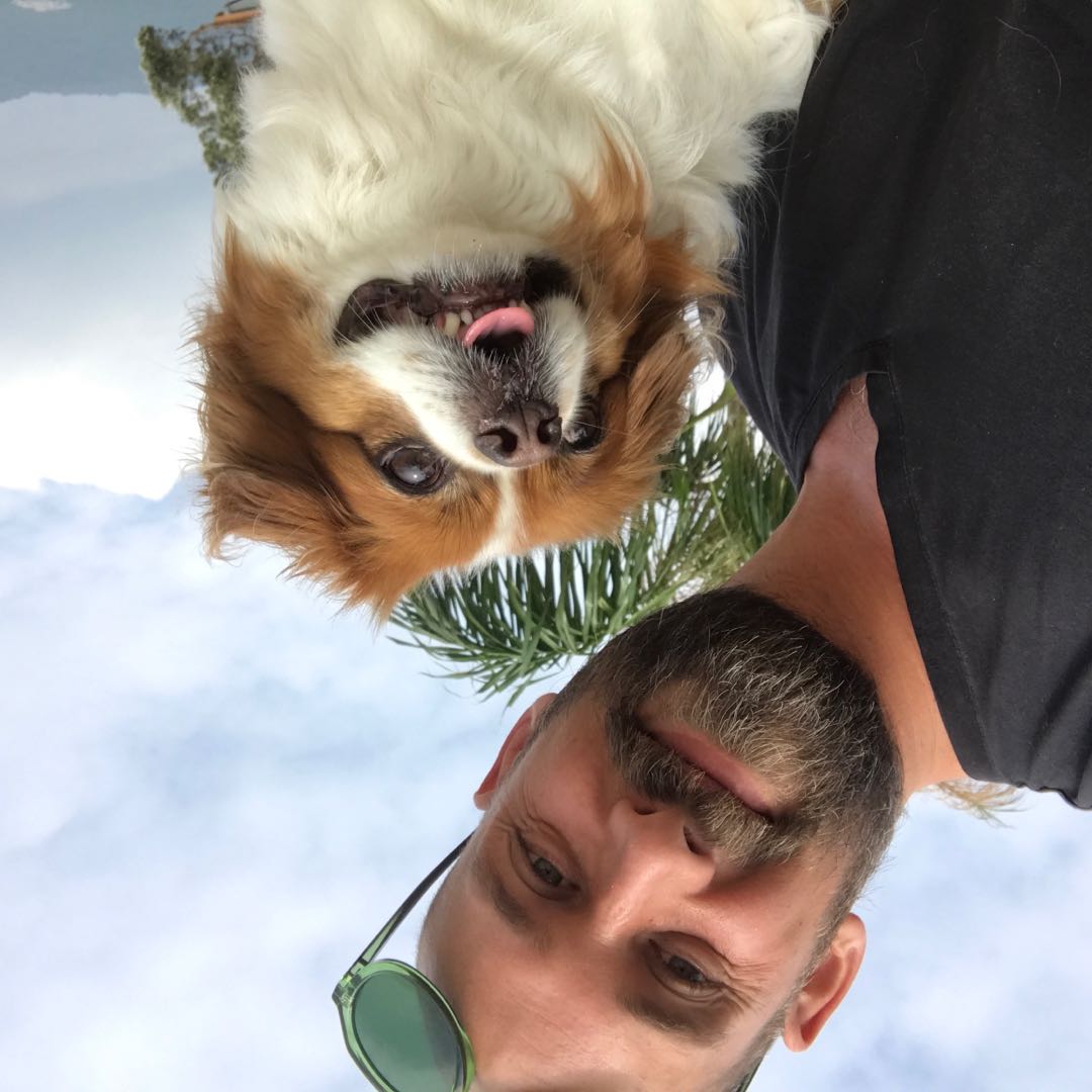 Hands Free Dog Leashes Shoulder Leashes High5dogs