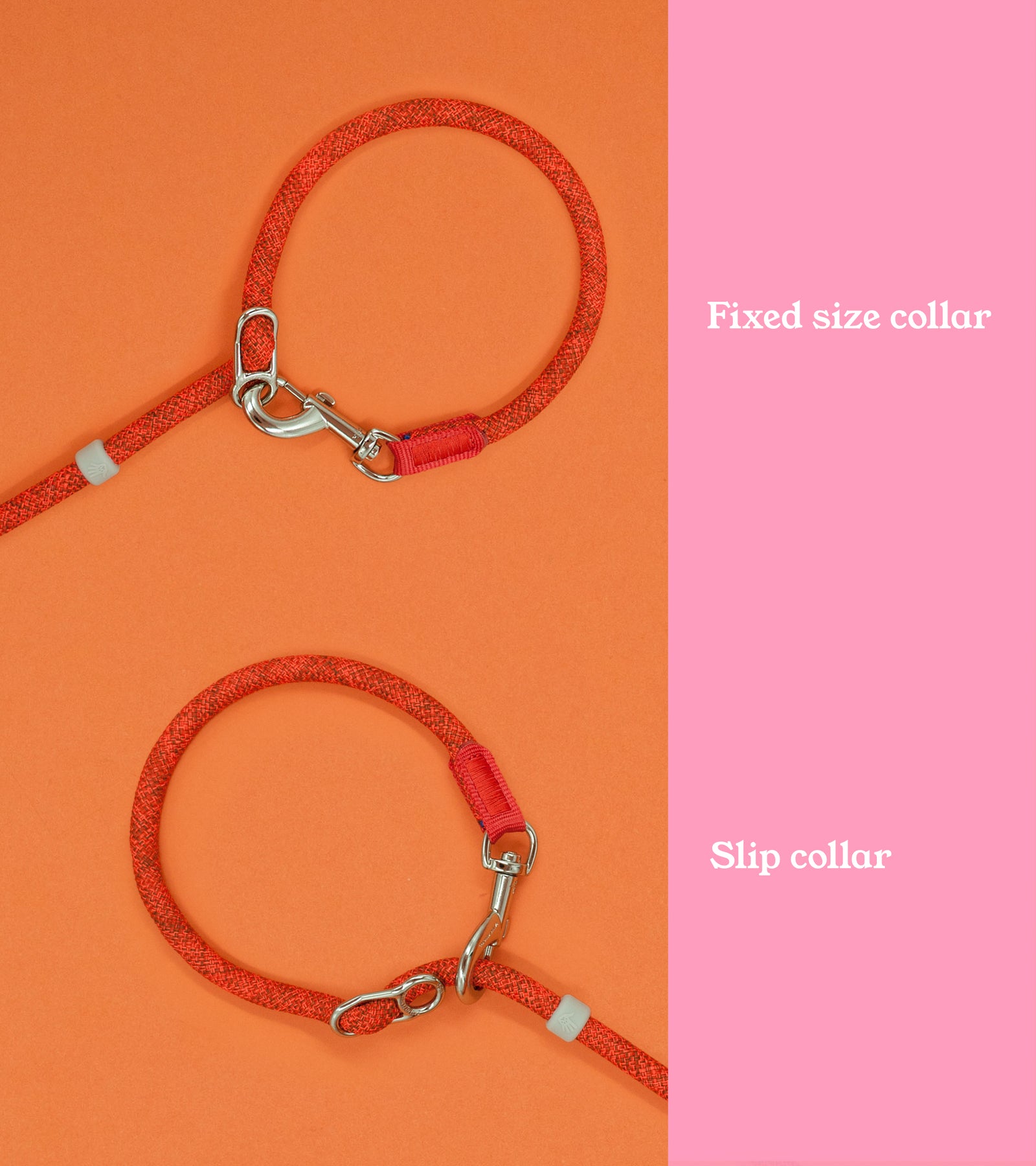 Leisure Collar & Slip Leash – High 5 Pets B.V.