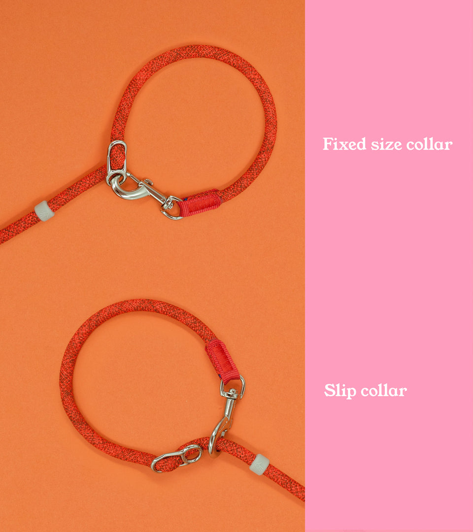 Leisure Collar & Slip Leash