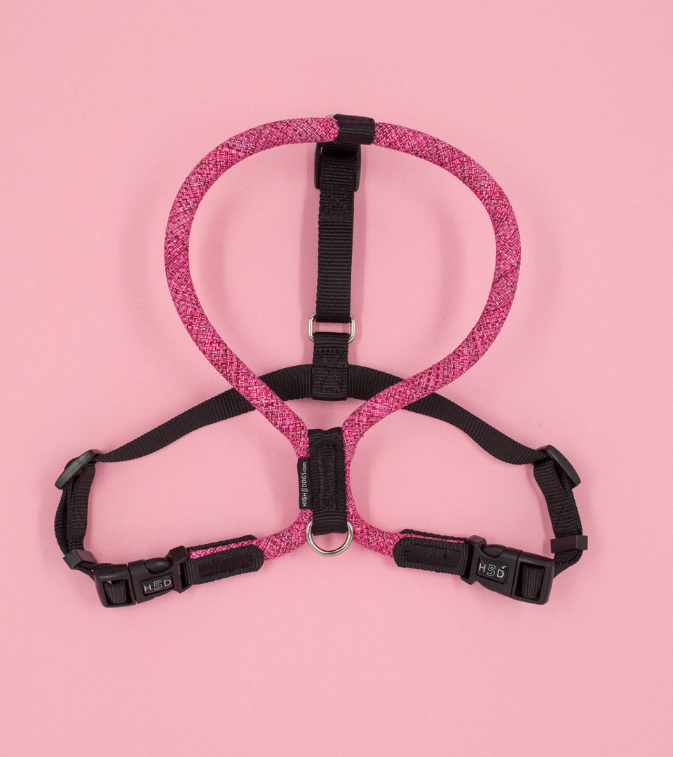 Leisure Rope Adjustable Dog Harness